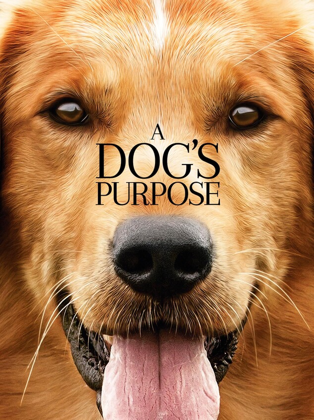 a dogs purpose watch online free