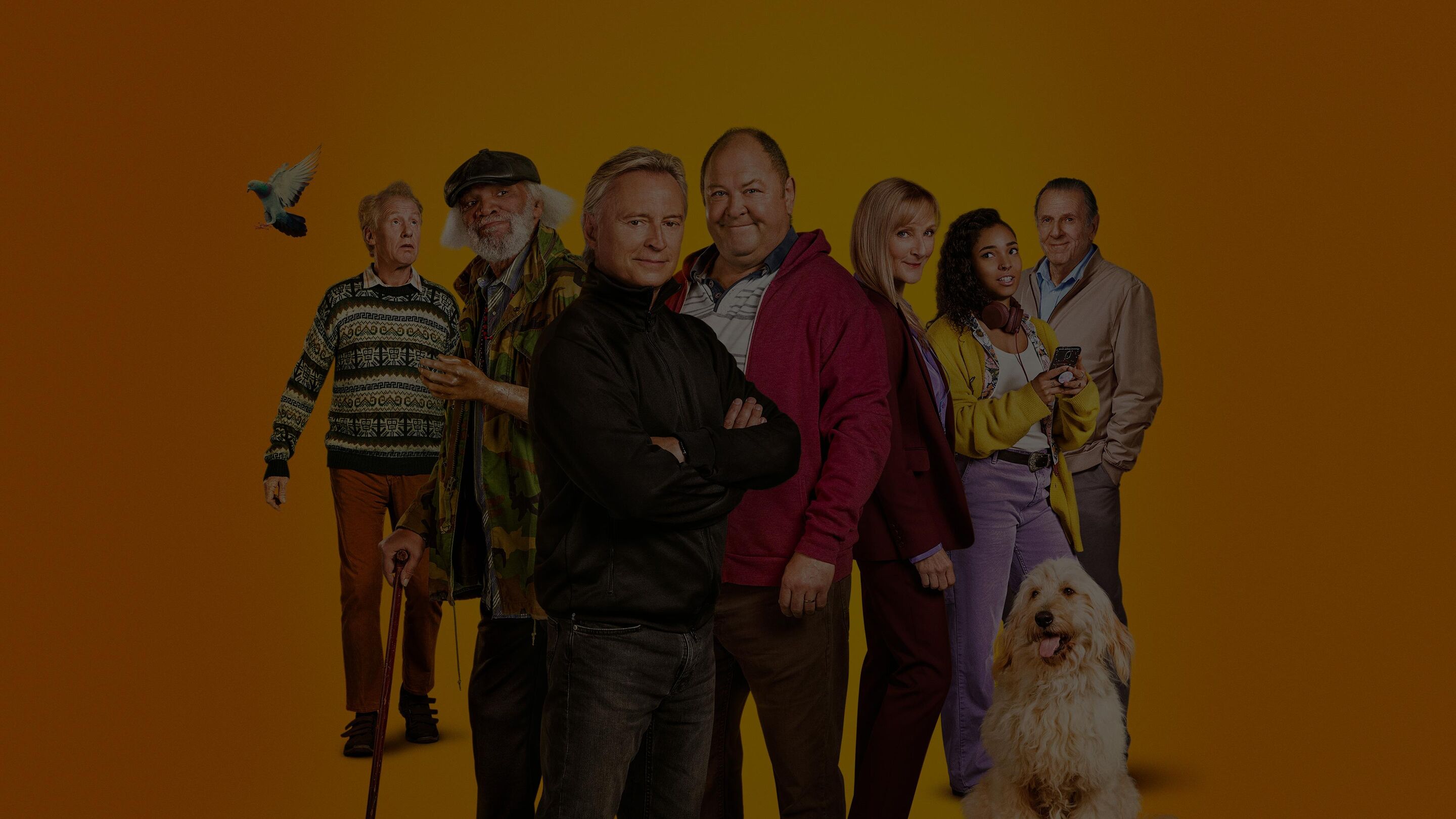 About The Full Monty TV Show Series