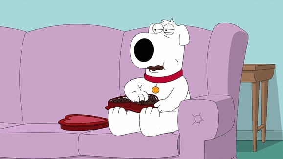 Boy (Dog) Meets Girl (Dog)