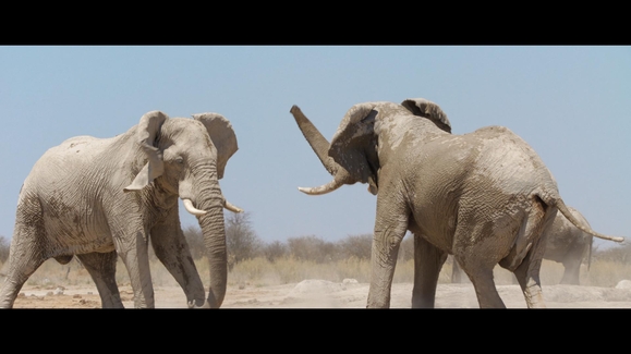 Welcome to Africa