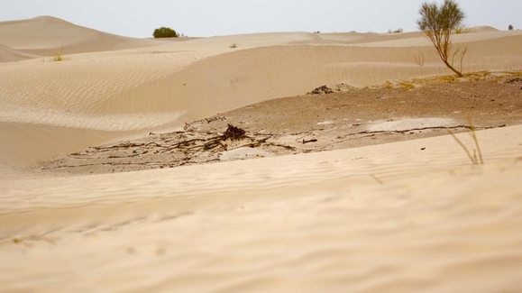 Desert