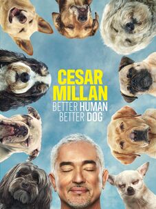Cesar Millan: Better Human Better Dog