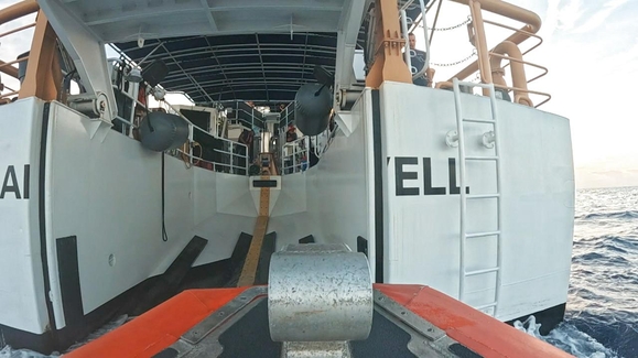 Rookie On Board
