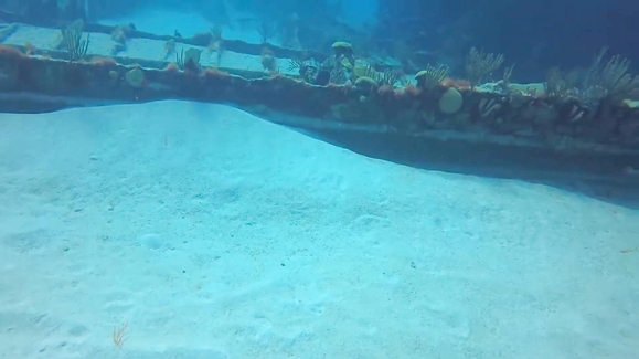 Wrecks, Ruins, and Relics