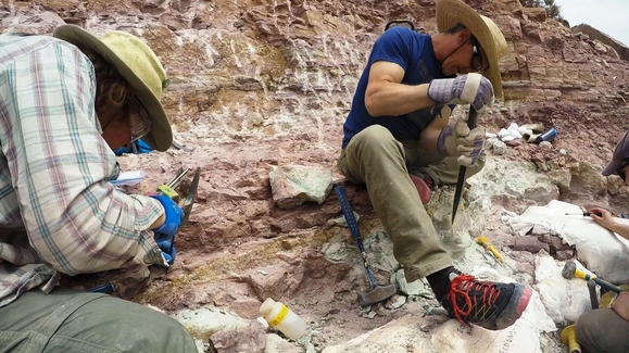 Linked: Dino Dig