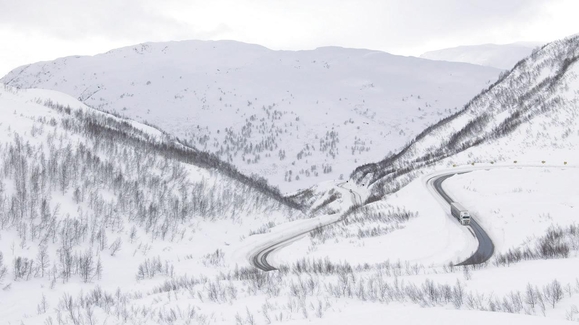 Absolute Destruction