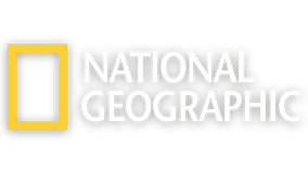 national geographic logo transparent