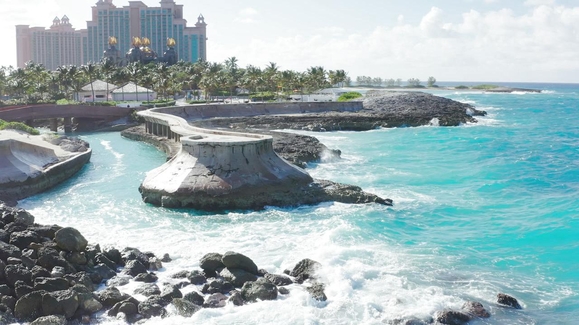 Bitten in the Bahamas