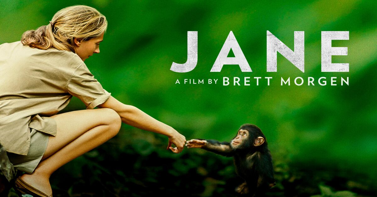 Watch Jane TV Show - Streaming Online | Nat Geo TV