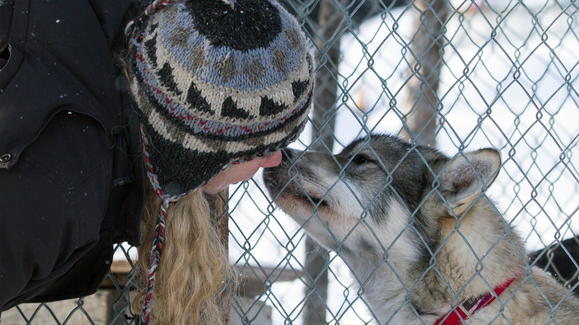 Cold, Dark and Alone