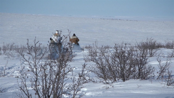 Watch Life Below Zero Season 17 Episode 10 Bad Break Online - Vimarsana News