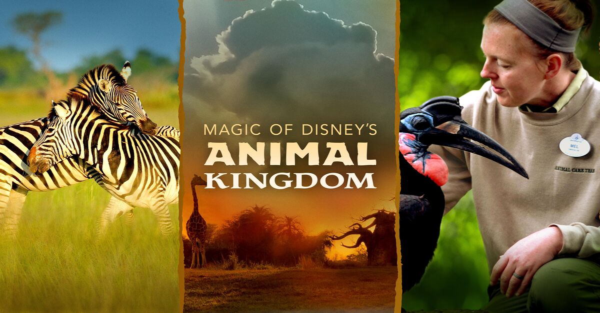 About Magic of Disney's Animal Kingdom TV Show Series