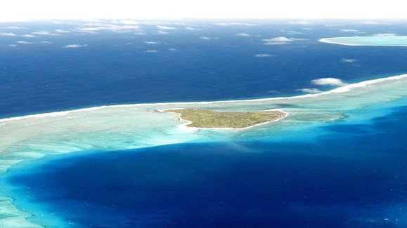 Murder Island Mutiny