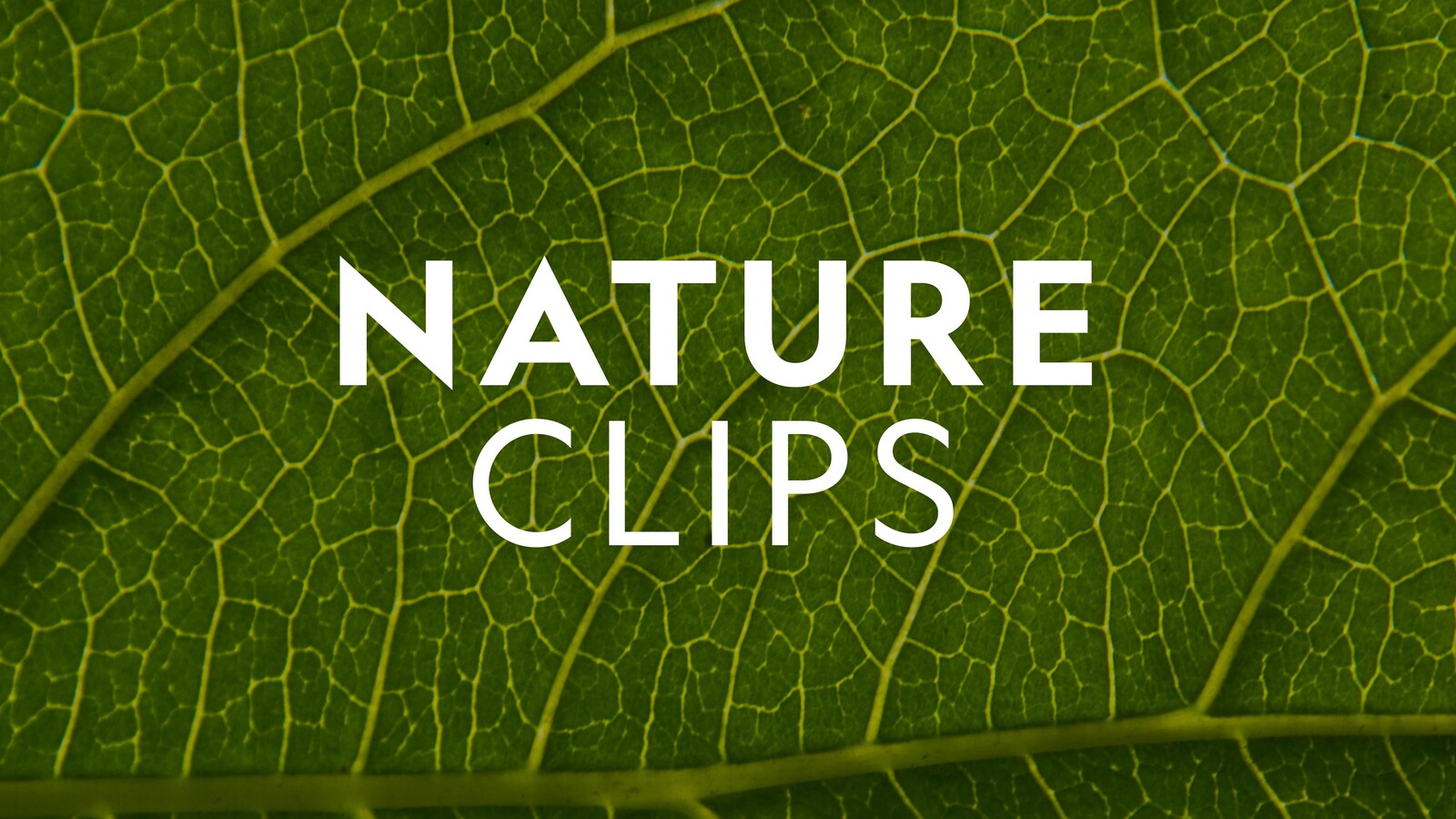 Nature Clips TV Show - Online Nat TV