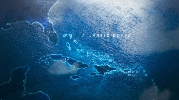 Realm of the Humpbacks