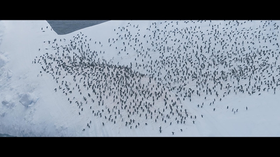 Ocean with David Attenborough