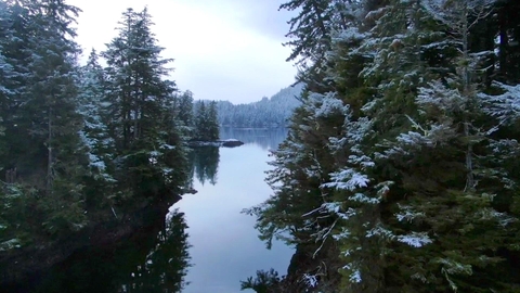 Watch Port Protection Alaska Season 4 Episode 1 No Place Like Home Online