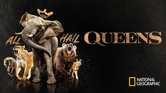 Watch Queens TV Show Streaming Online Nat Geo TV