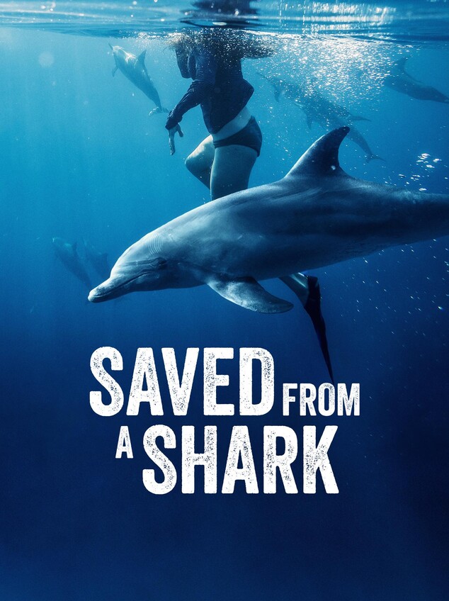 Watch Saved From a Shark Online | Nat Geo TV