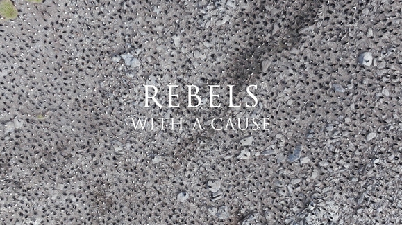 Rebels with a Cause