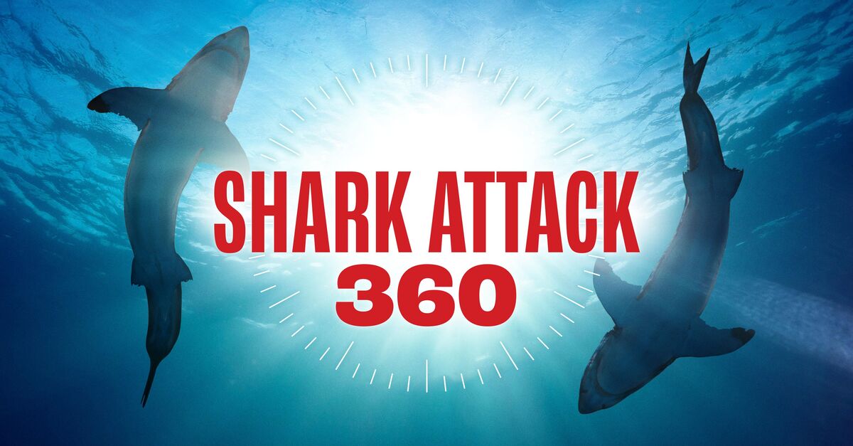 About Shark Attack 360 TV Show Series