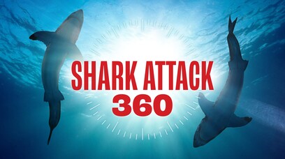 Shark Attack 360