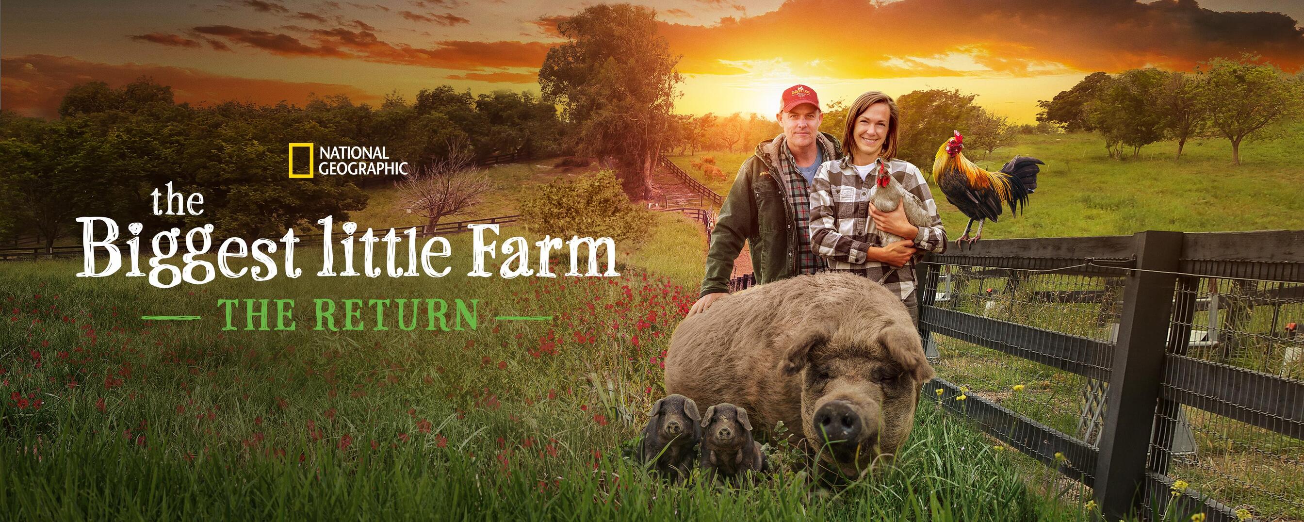 What Size Is Considered A Small Farm At Charles Gilley Blog