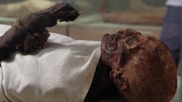 Unwrapping King Tut