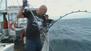 Rye Fisherman to Star on National Geographic's 'Wicked Tuna' Series