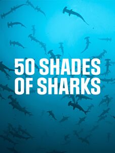 National Geographic Tv Shows Specials Documentaries