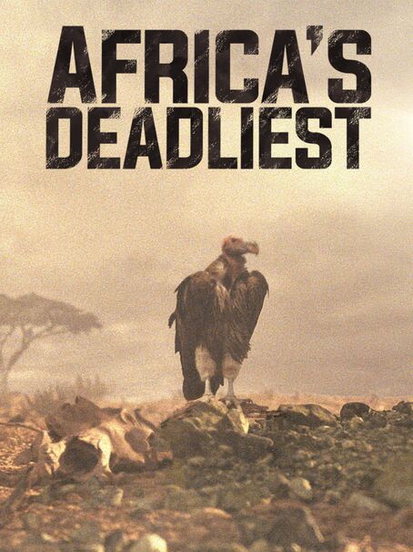 geography tv shows