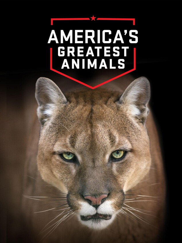 Watch America's Greatest Animals Online | Nat Geo TV
