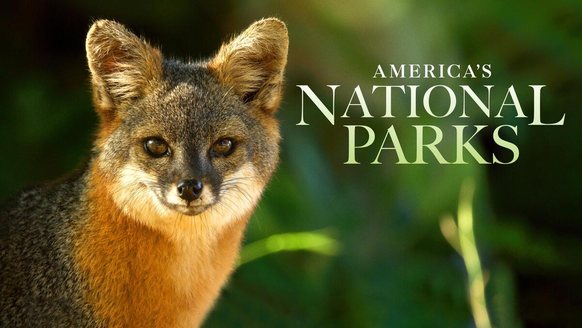 america\'s national parks tv show