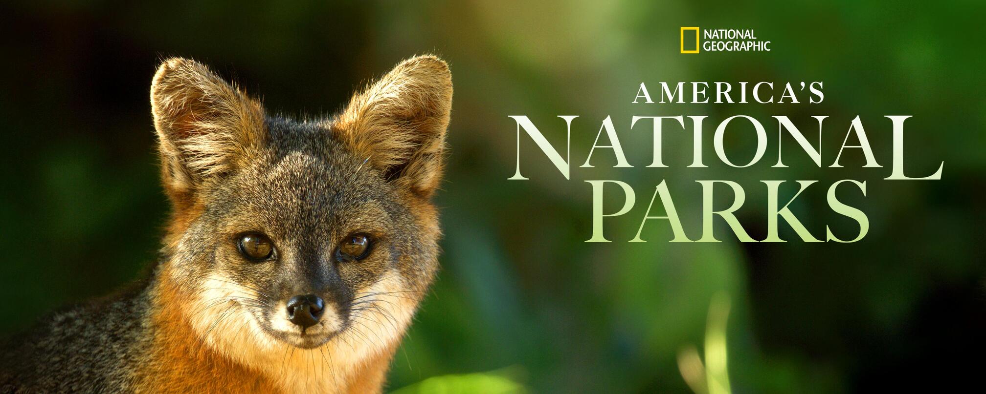 Watch America's National Parks TV Show - Streaming Online