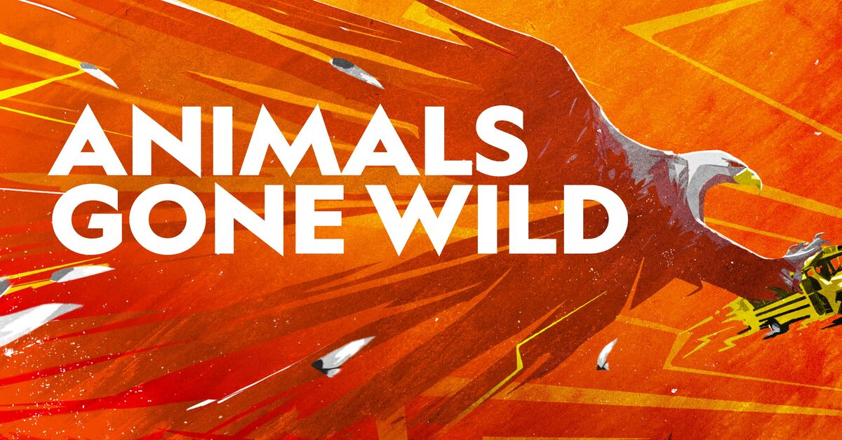 Animals Gone Wild Full Episodes Watch Online
