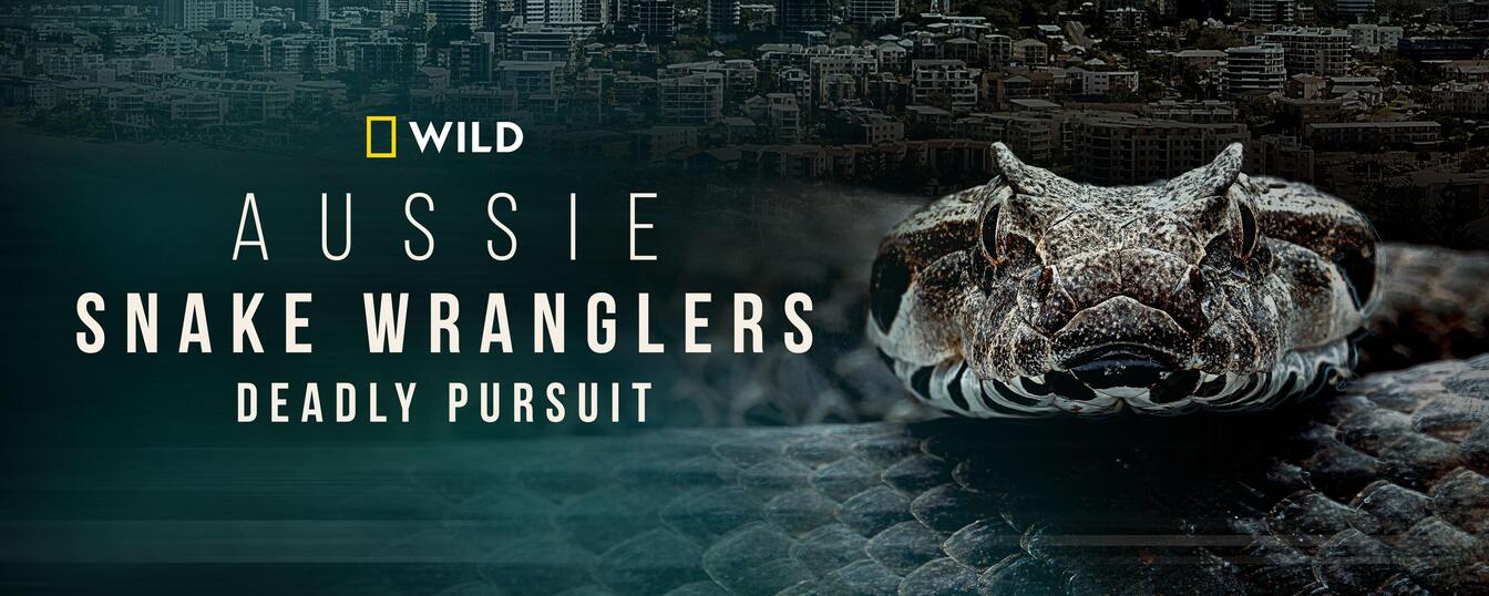 About Aussie Snake Wranglers: Deadly Pursuit TV Show Series