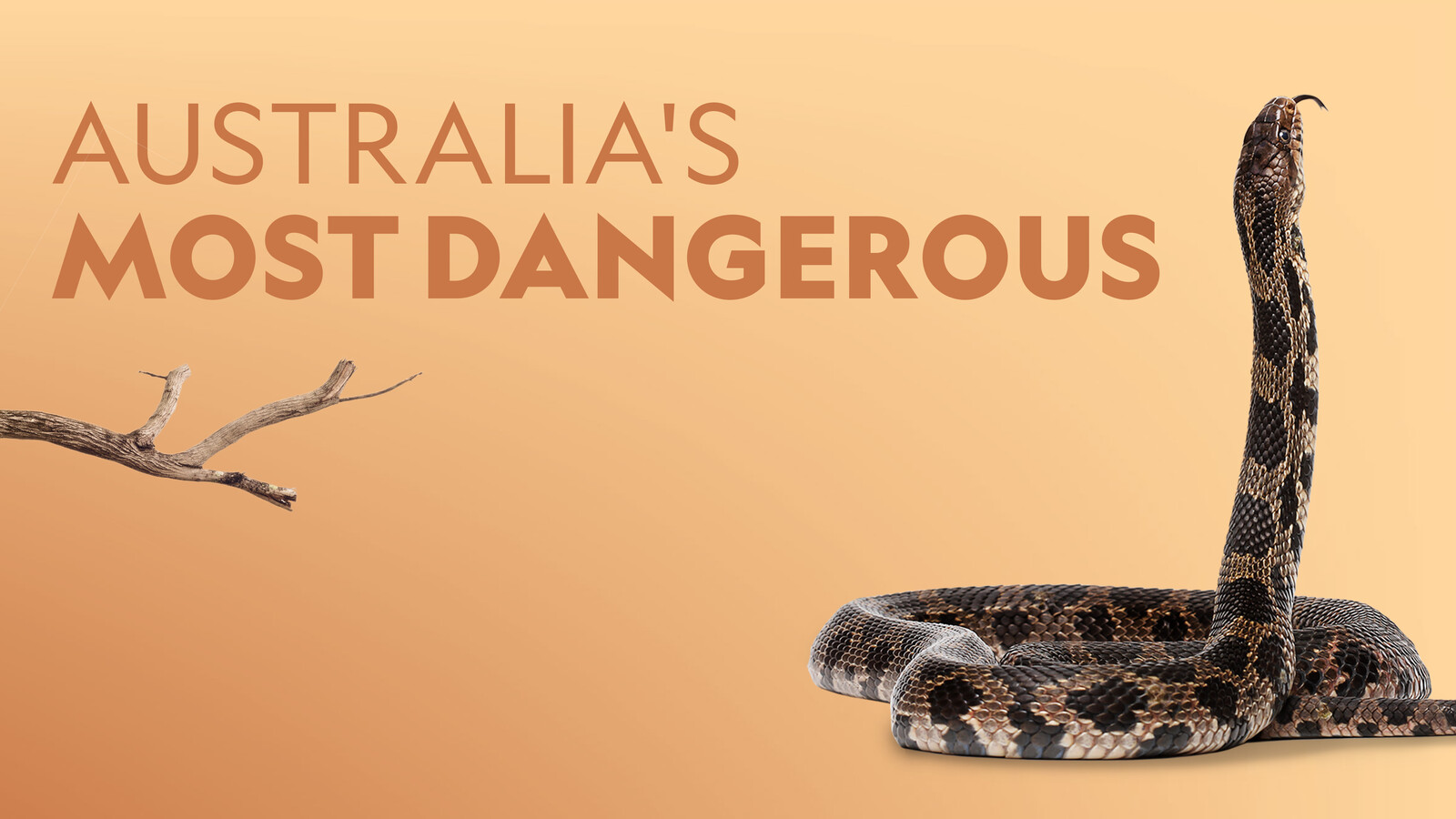 Australia S Most Dangerous Australian Geographic