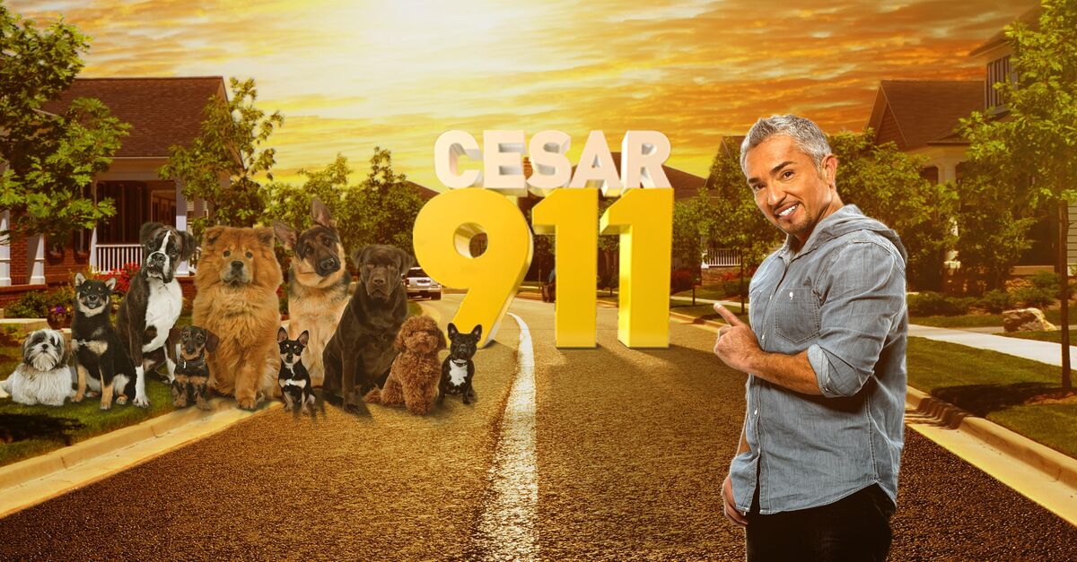 Watch Cesar 911 TV Show Streaming Online Nat Geo TV