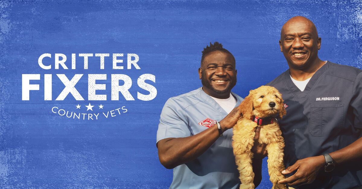 Watch Critter Fixers: Country Vets TV Show - Streaming Online | Nat Geo TV