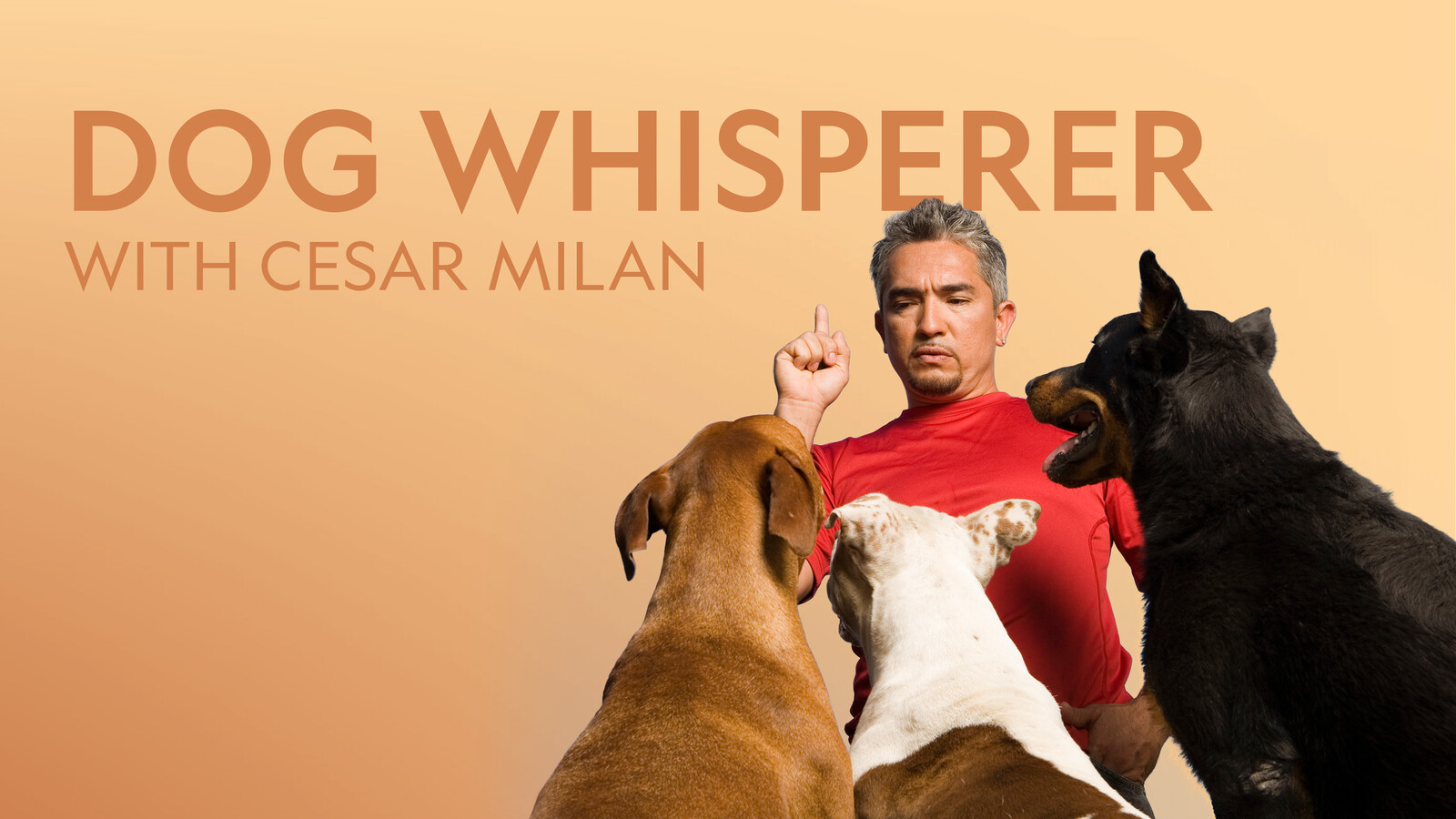 Dog Whisperer [DVD]