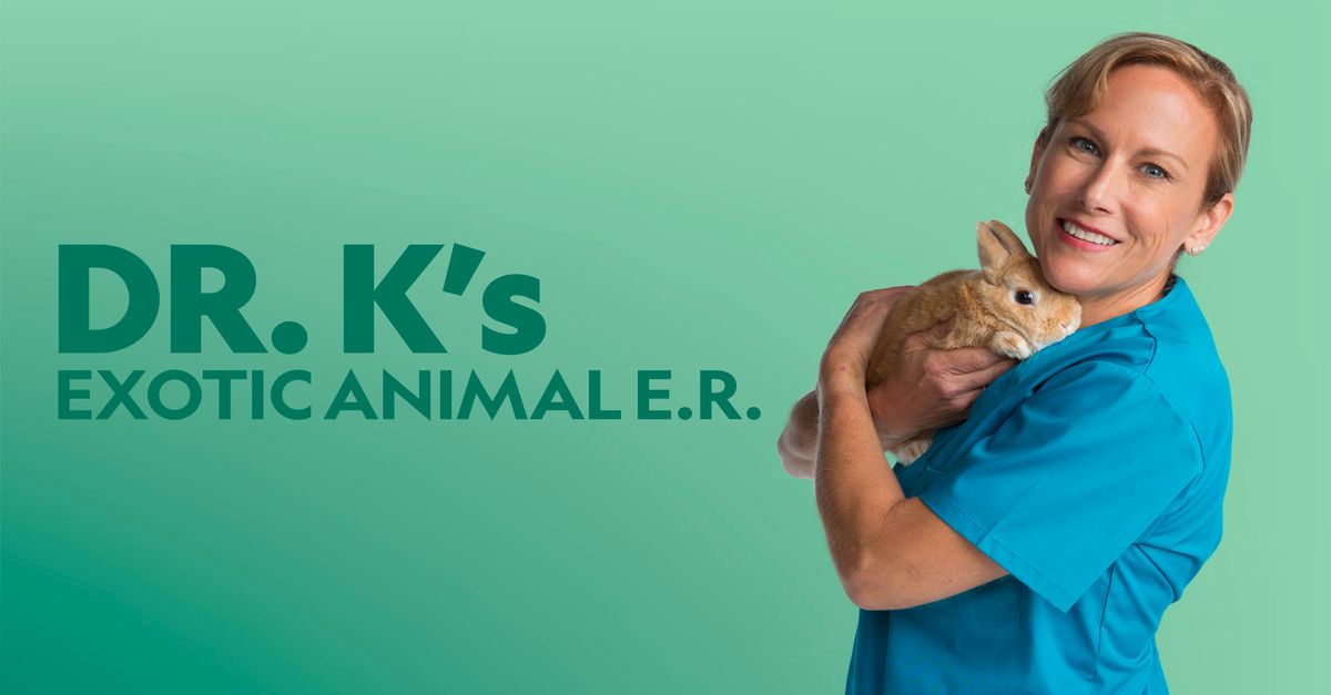 Watch Dr K S Exotic Animal Er Tv Show Streaming Online Nat Geo Tv