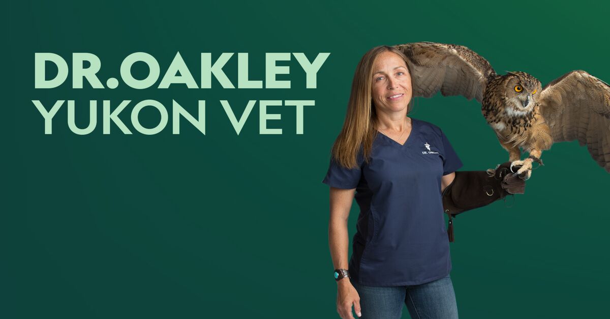 maya oakley vet school