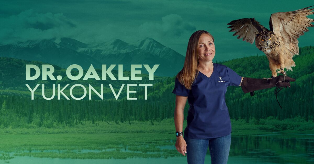 Dr. Oakley, Yukon Vet Full Episodes Watch Online