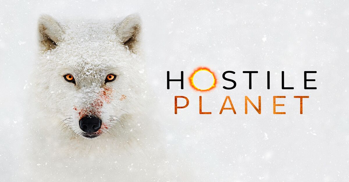 About Hostile Planet TV Show Series