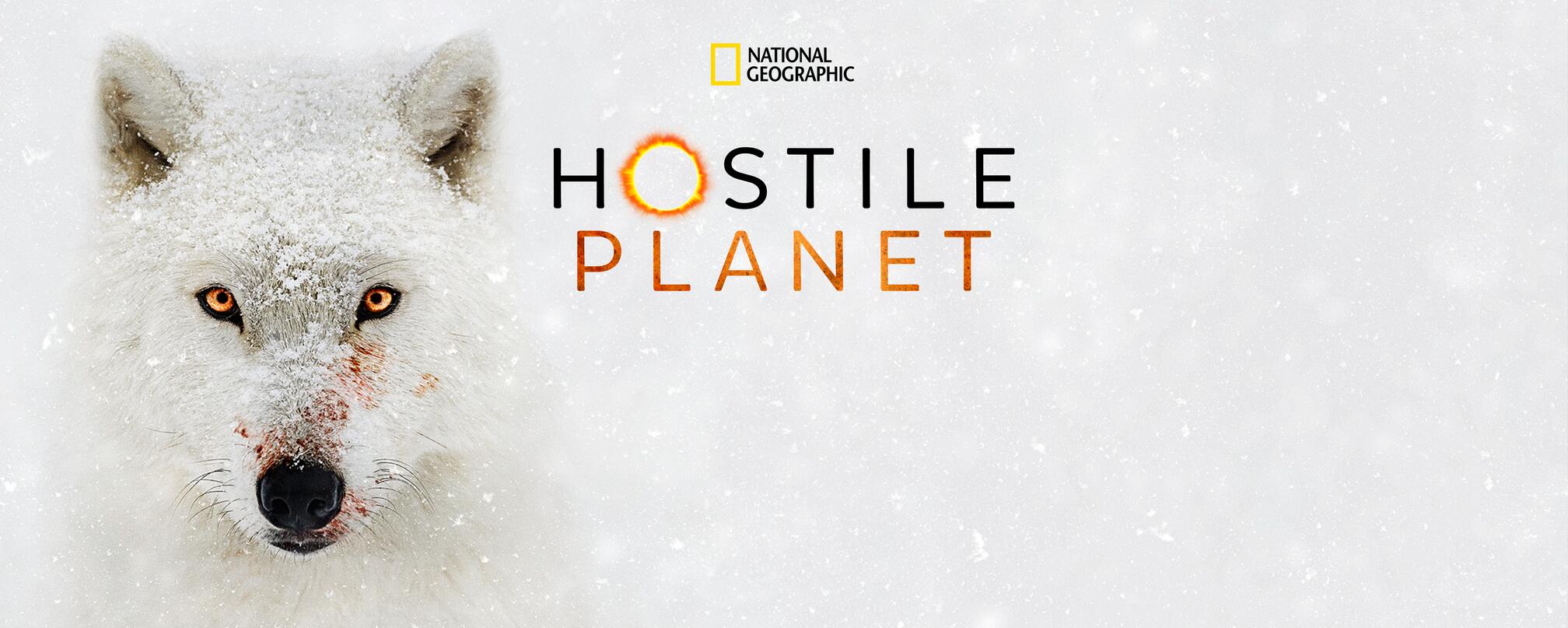 Bear Grylls Talks Survival as 'Hostile Planet' Premieres - National  Geographic Partners