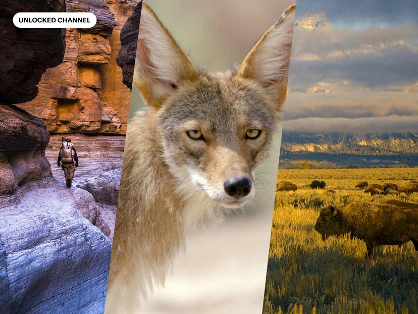 America's National Parks: Unlocked Channel
