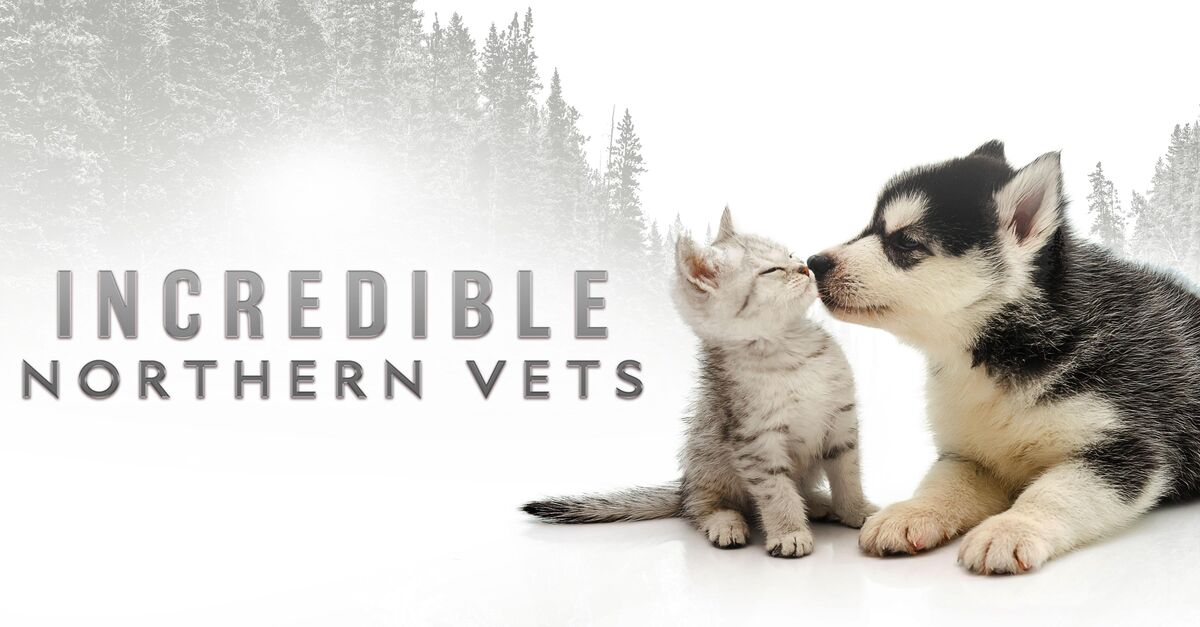 Heartland Vets Tv Show Where To Watch