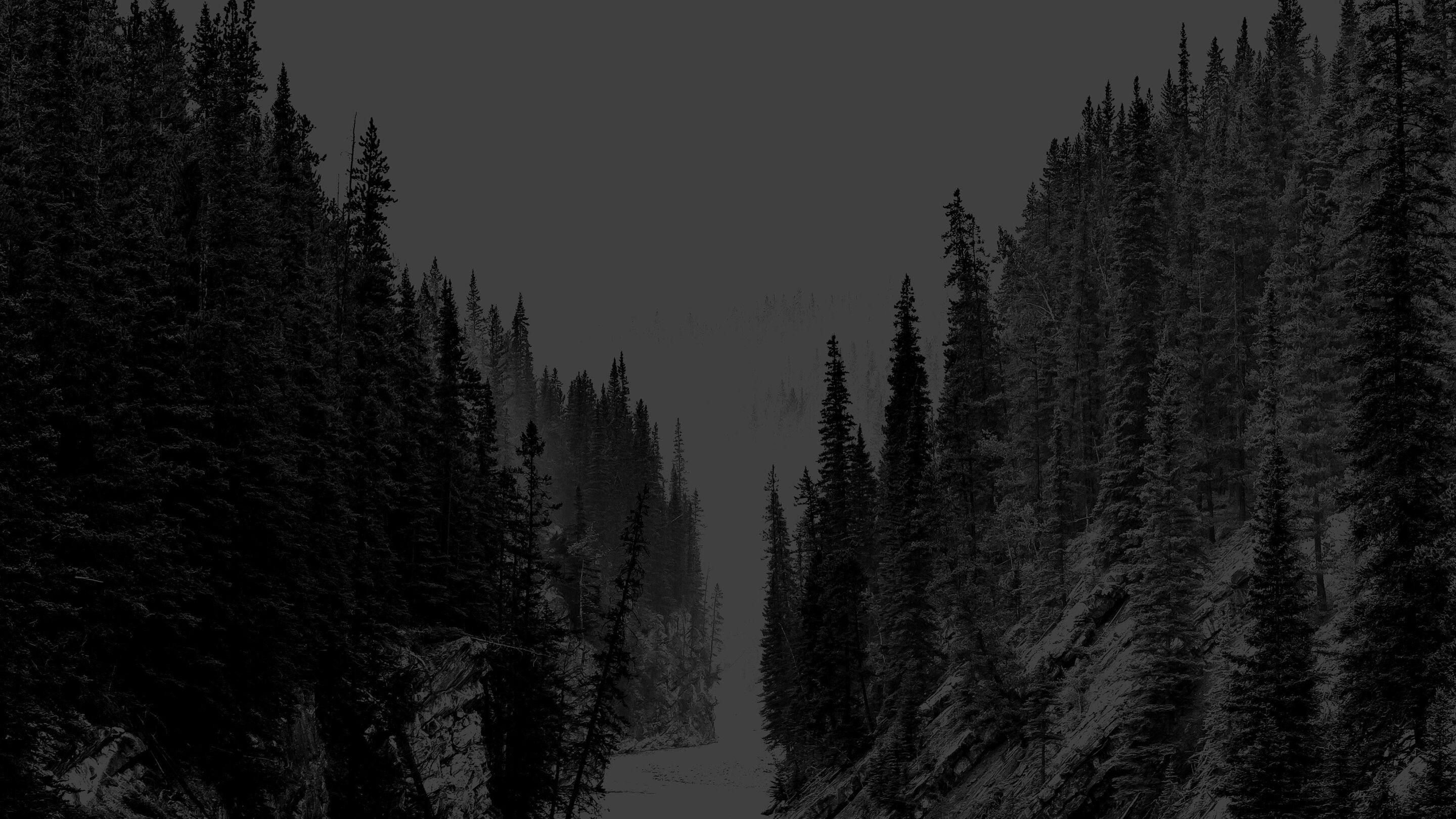 watch-incredible-northern-vets-tv-show-streaming-online-nat-geo-tv