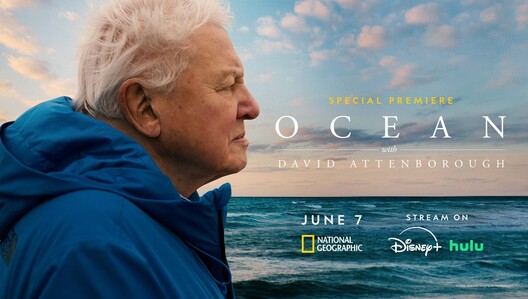 "Ocean with David Attenborough premieres on National Geographic Saturday, June 7 9/8c