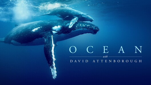 "Ocean with David Attenborough" wins two Critics Choice Awards in 2025 including Best Science/Nature Documentary